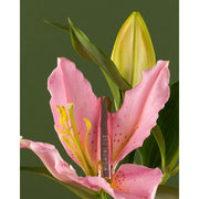 V3H29A280FA72B308076363A8E0D82C0F93R5547587P5