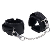 V3HAA84D41DABAEFA39B5E7B931F66DFBEAR5548345P2