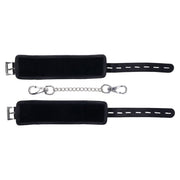 V3H6F4AD82791D6A7EC376DE46494E741CBR5548349P6