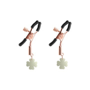 V4HB4CD574CF0C4A9AB2B26082E96DB989ER4904310P2