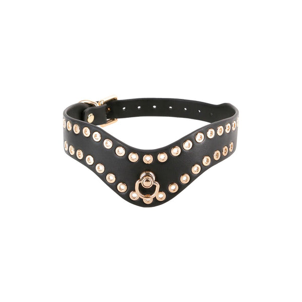 V4H135139780F7CB2C189BA92265A688DBDR5103113P2