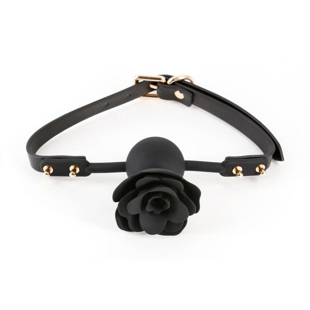 V4H8E91059F8FF027C1286A80DFCFE45EAFR5116636P1