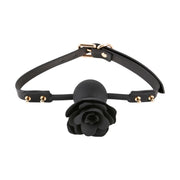 V4HCE44F4CB6949041637220C51053F8CDBR5116638P2