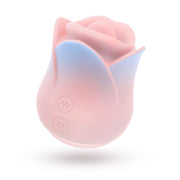 V2HF95B783BDF83ADAF1672A4E5A265F9CAR7506002P2