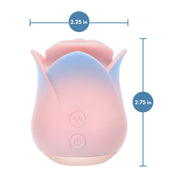 V2H865CAE404B706E644E71B5A0F2D151AFR7506033P10