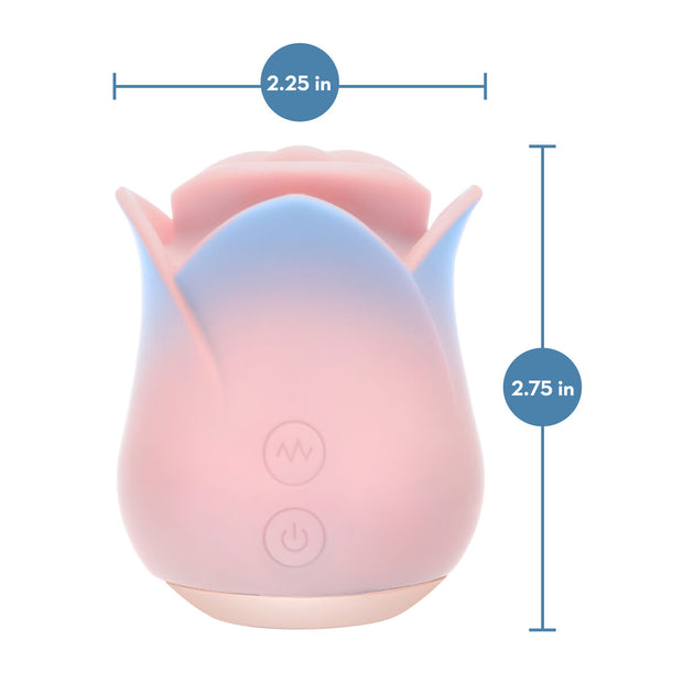 V3H865CAE404B706E644E71B5A0F2D151AFR7506033P10