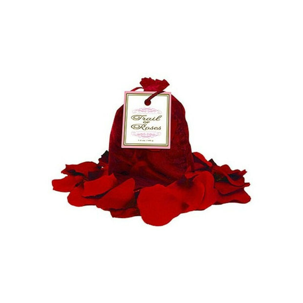 V8HBC24B635230E888399B546E0D50A784DR4210471P1