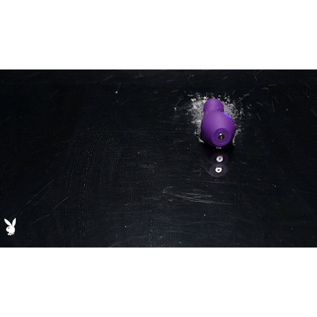 V4HDBB4743880DD13364421953C0986A4E1R5118779P8