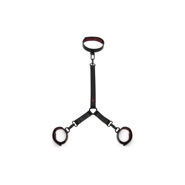 V4HF2D12EC334E2A760298E56C5125CFDCCR4658656P1