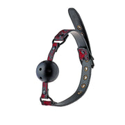 V4H5109C5550958DF2A876455BABCA60079R4901086P3