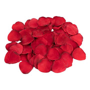 V3HD2FE7C686822162DCA35DC3055229E53R5547513P8