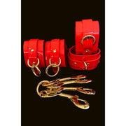 V4HDCD25FE6B1838EC6277B086408493D9FR4877894P2